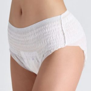 পিরিয়ড প্যান্টি Premium Period Panties For Women