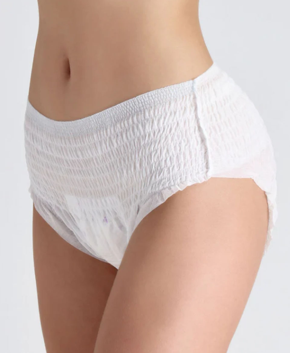পিরিয়ড প্যান্টি Premium Period Panties For Women